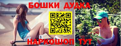 стаф Будённовск