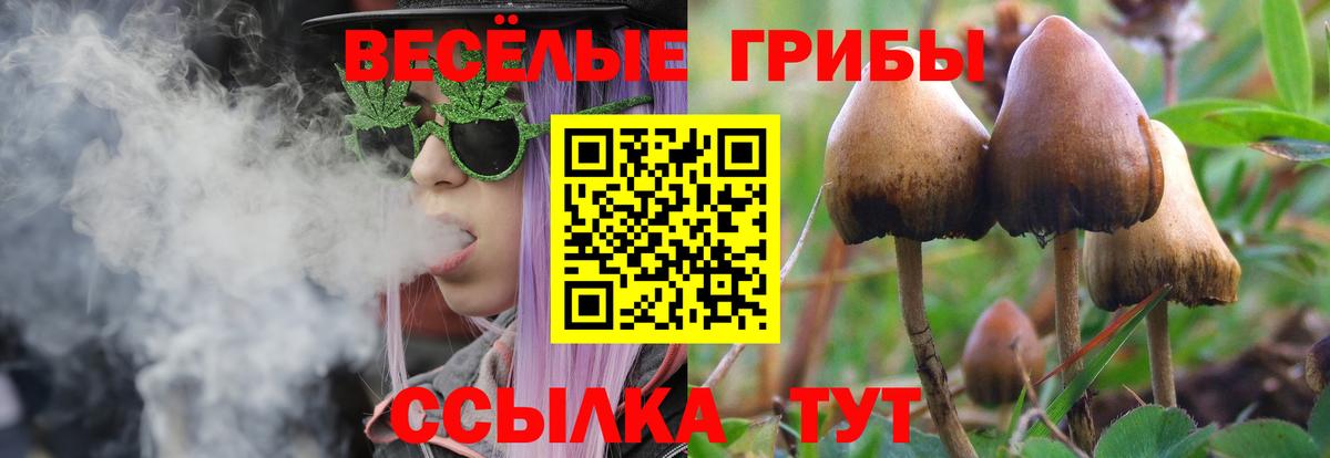 Псилоцибиновые грибы Magic Shrooms Павлово